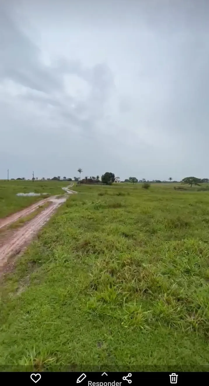 Fazenda à venda de 811 ha em Araguaína, TO, Brasil