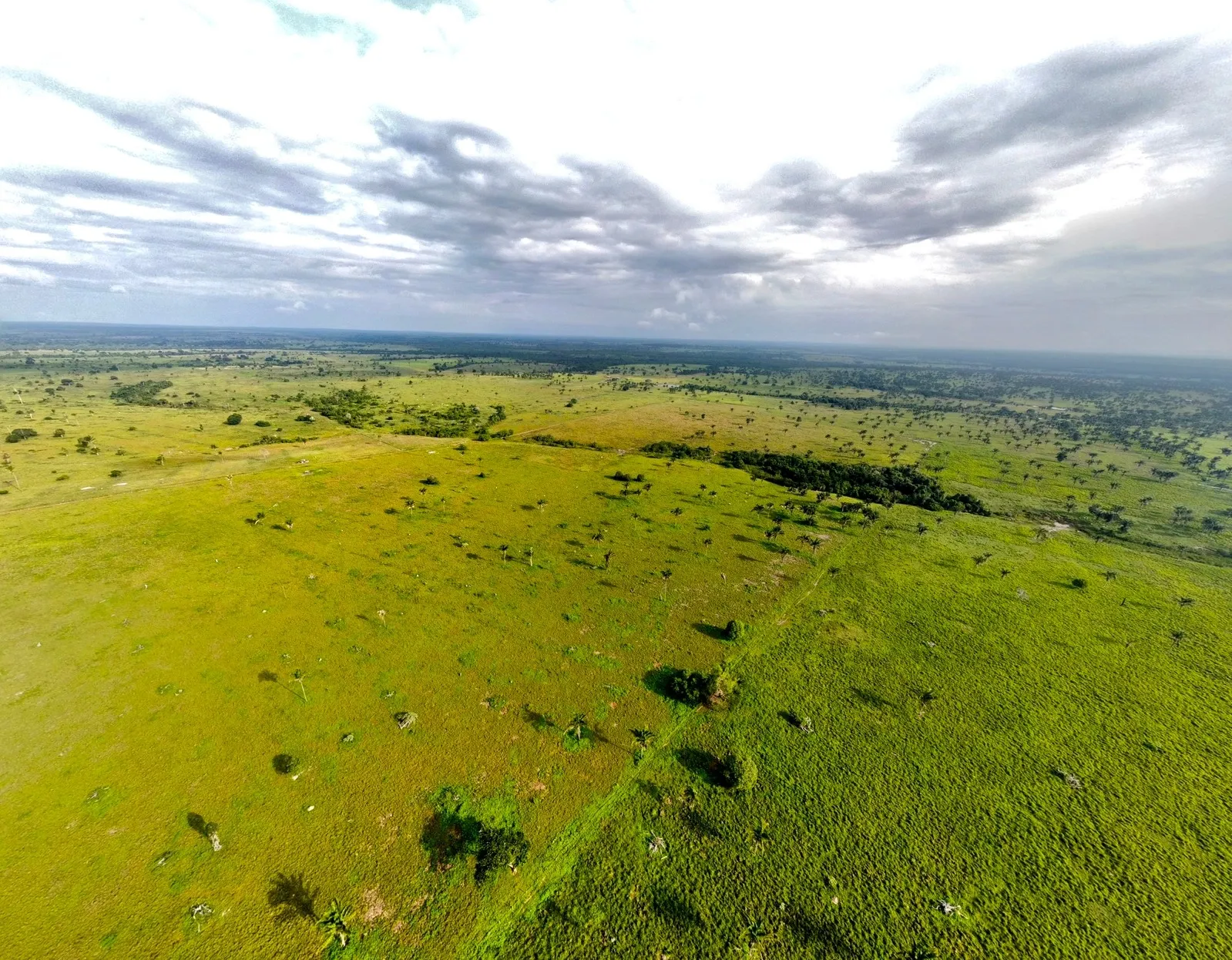 Fazenda à venda de 811 ha em Araguaína, TO, Brasil