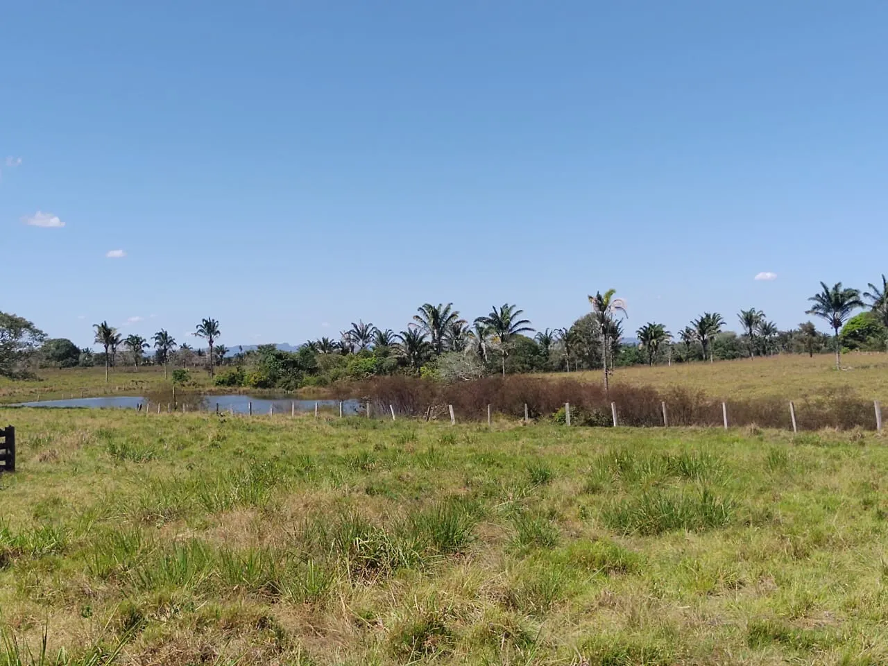Fazenda à venda de 811 ha em Araguaína, TO, Brasil