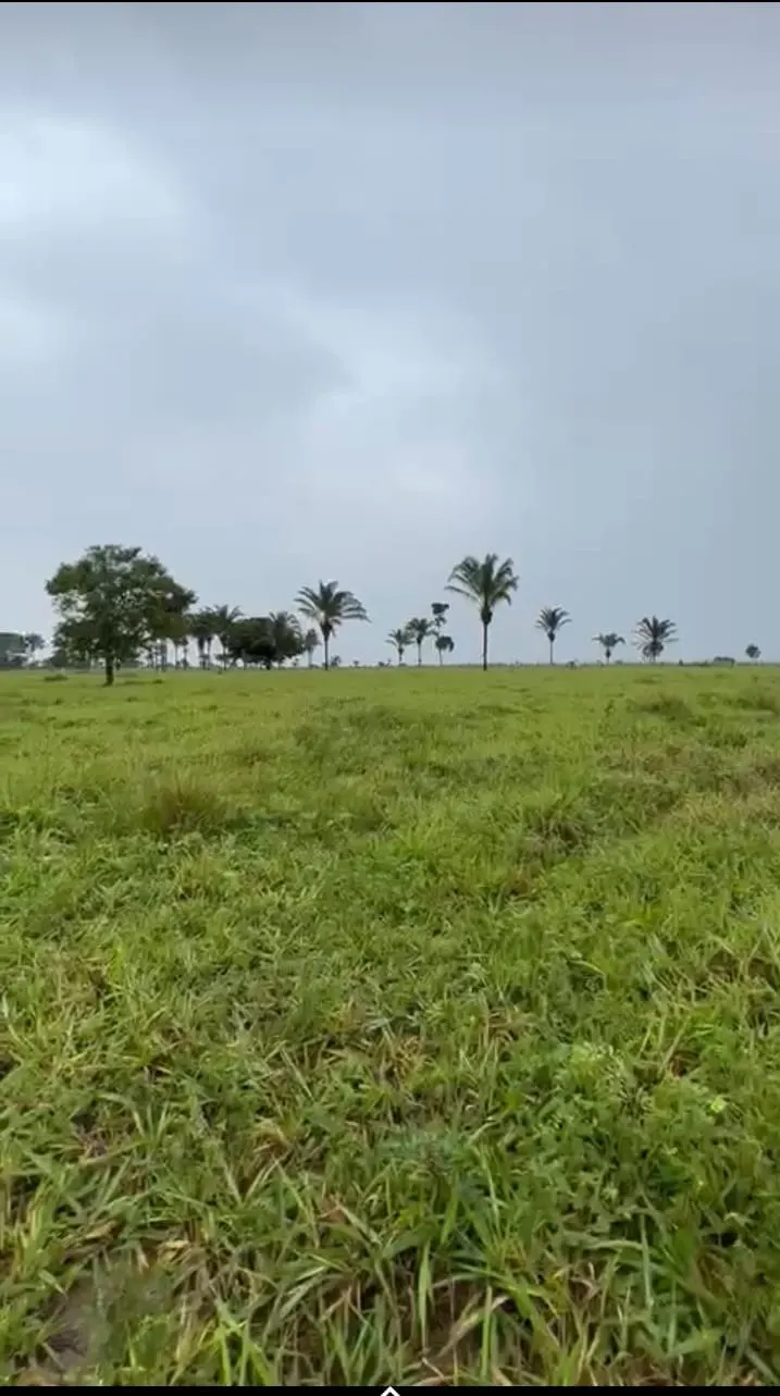 Fazenda à venda de 811 ha em Araguaína, TO, Brasil