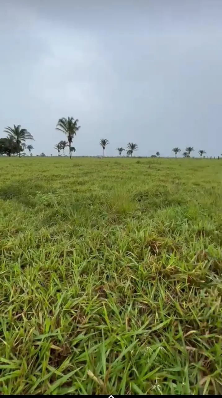 Fazenda à venda de 811 ha em Araguaína, TO, Brasil