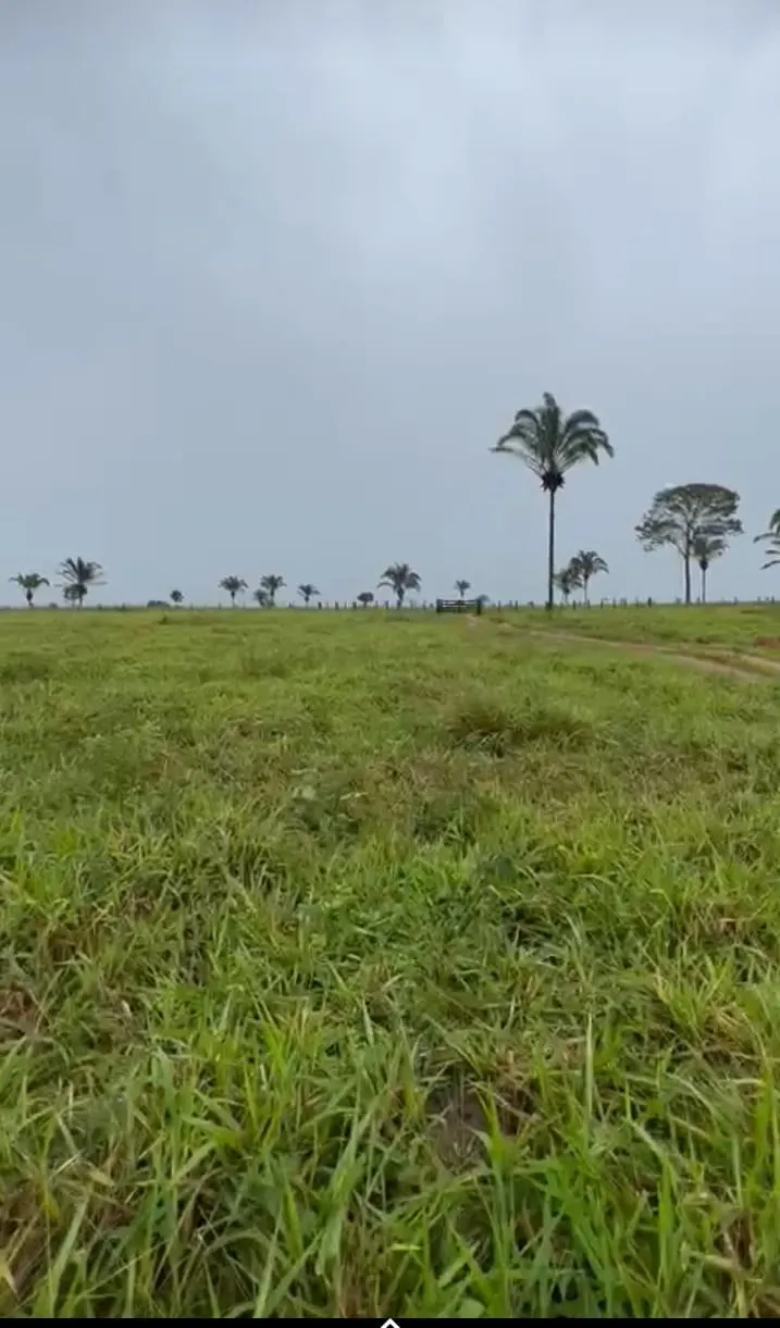 Fazenda à venda de 811 ha em Araguaína, TO, Brasil