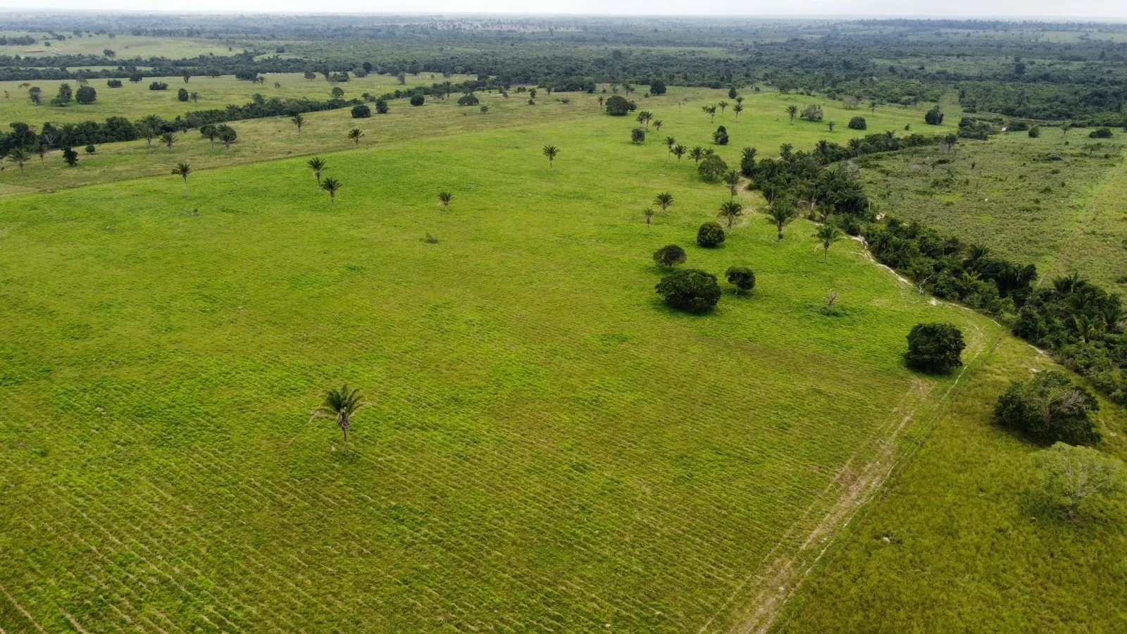 Fazenda à venda de 811 ha em Araguaína, TO, Brasil