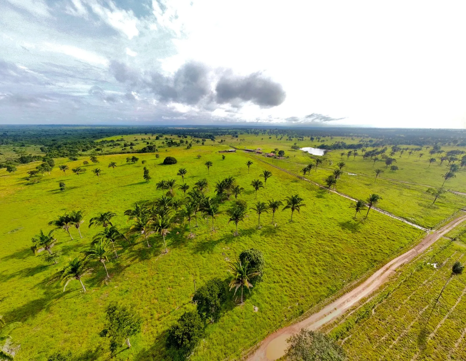Fazenda à venda de 811 ha em Araguaína, TO, Brasil