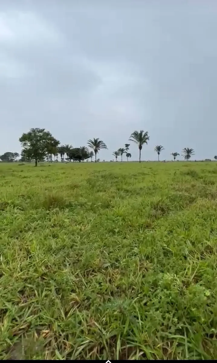 Fazenda à venda de 811 ha em Araguaína, TO, Brasil