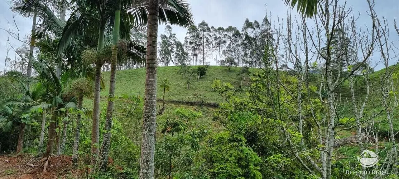Sítio à venda de 7 ha em São José dos Campos, SP, Brasil