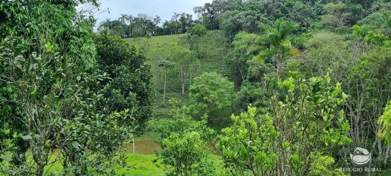 Sítio à venda de 7 ha em São José dos Campos, SP, Brasil