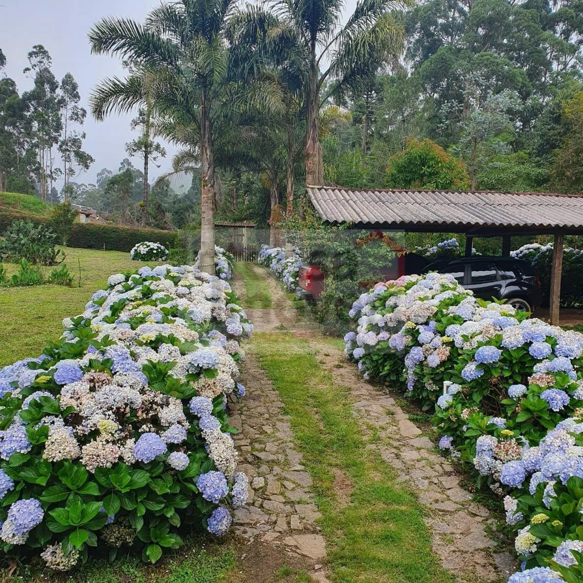 Chácara à venda de 2 ha em Cunha, SP, Brasil
