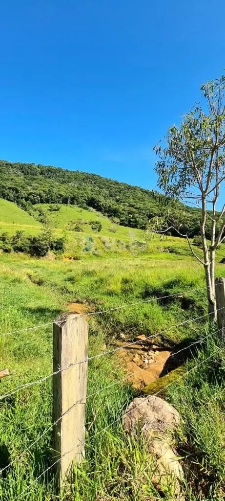 Farm for sale of 114 acres in Tijucas, SC, Brazil