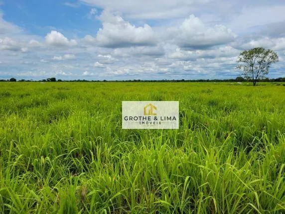 Farm for sale of 15,605 acres in Rondonópolis, MT, Brazil