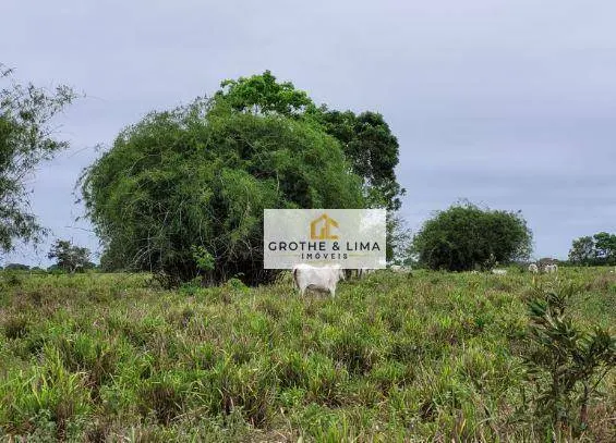 Farm for sale of 15,605 acres in Rondonópolis, MT, Brazil