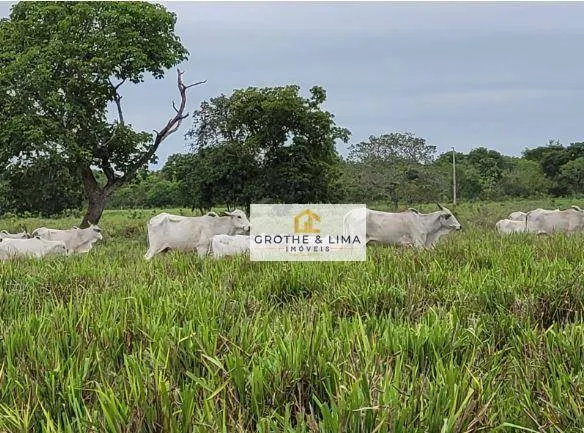 Fazenda à venda de 6.315 ha em Rondonópolis, MT, Brasil