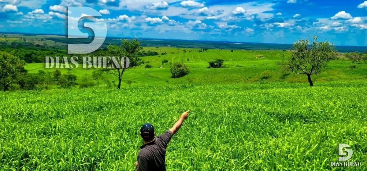 Fazenda à venda de 508 ha em Duartina, SP, Brasil