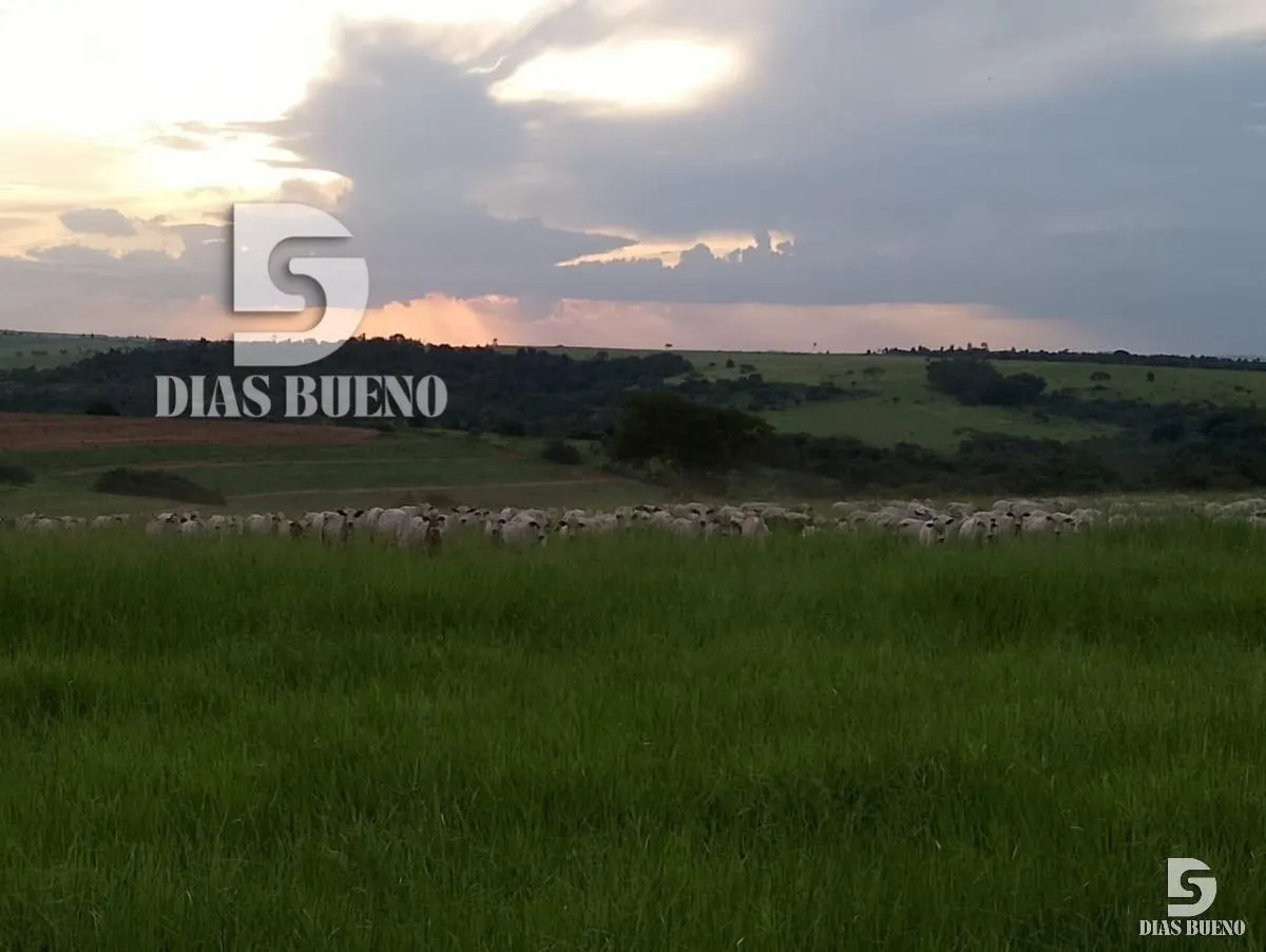 Fazenda à venda de 508 ha em Duartina, SP, Brasil