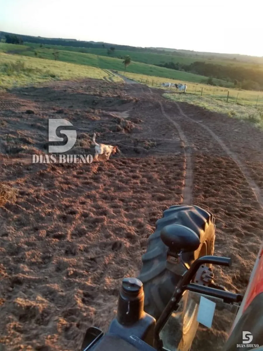 Fazenda à venda de 508 ha em Duartina, SP, Brasil