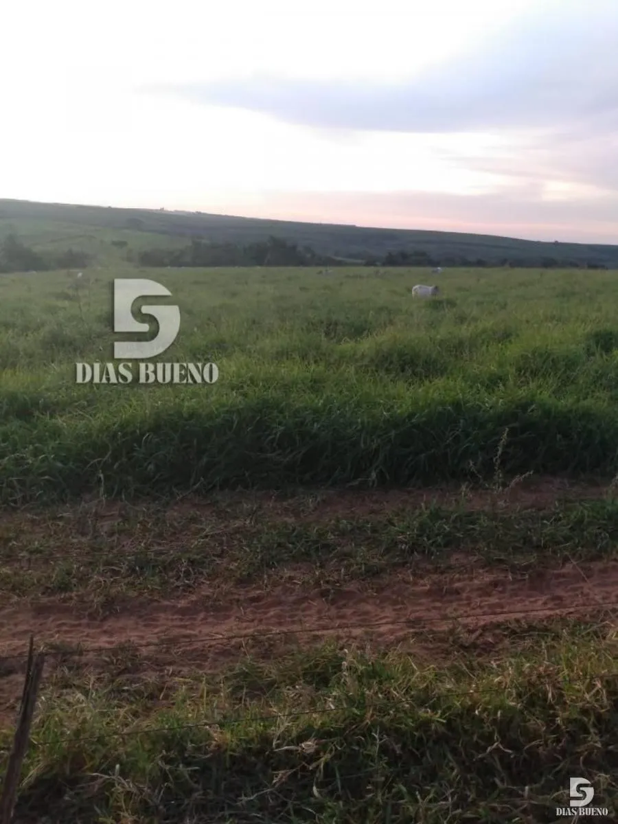 Fazenda à venda de 508 ha em Duartina, SP, Brasil