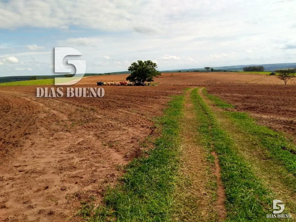 Fazenda à venda de 508 ha em Duartina, SP, Brasil