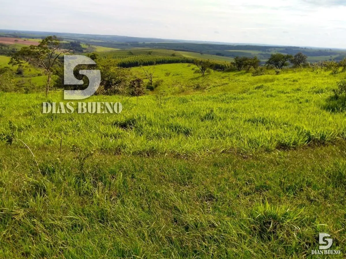 Fazenda à venda de 508 ha em Duartina, SP, Brasil