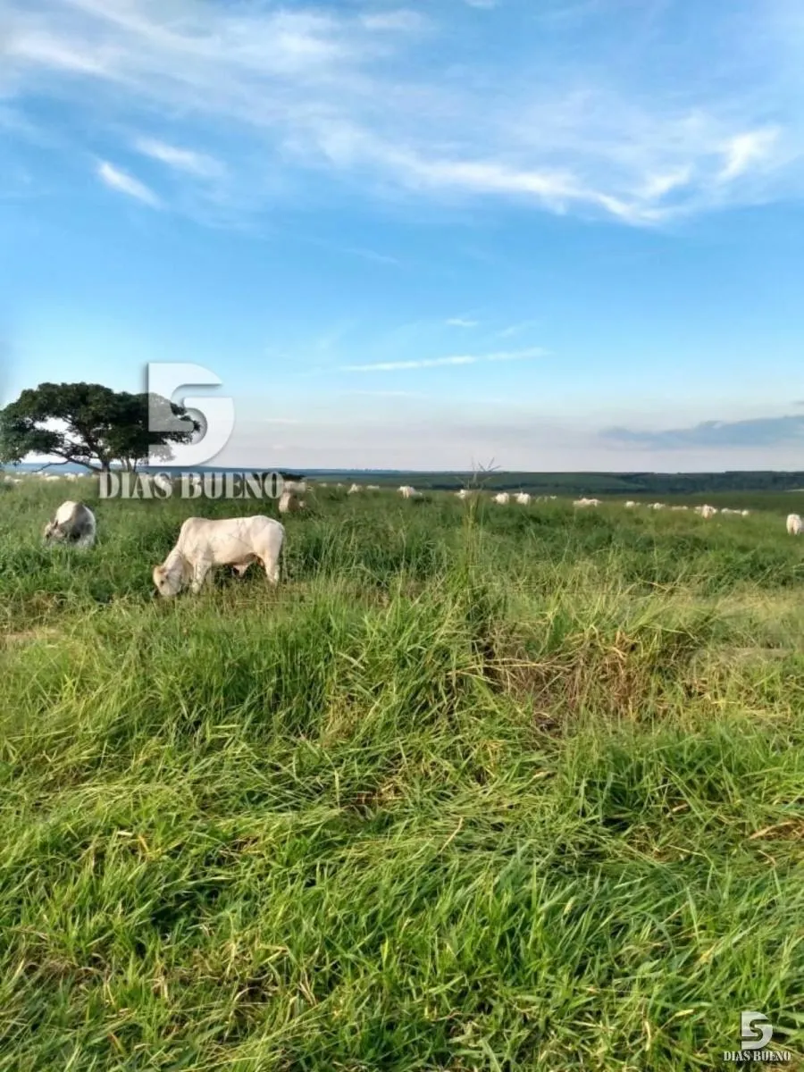 Fazenda à venda de 508 ha em Duartina, SP, Brasil
