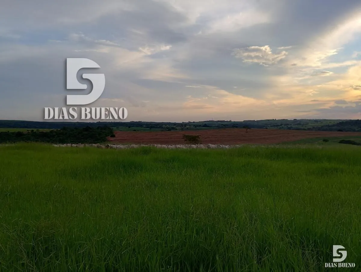 Fazenda à venda de 508 ha em Duartina, SP, Brasil