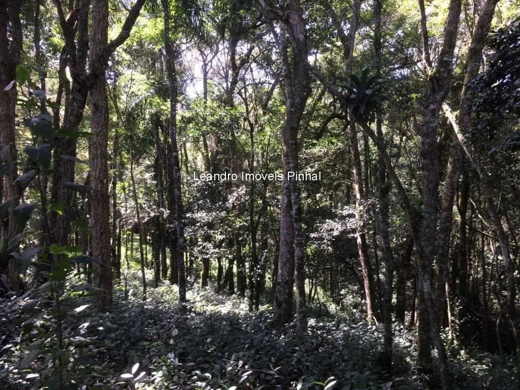 Sítio à venda de 5 ha em Santo Antônio do Pinhal, SP, Brasil