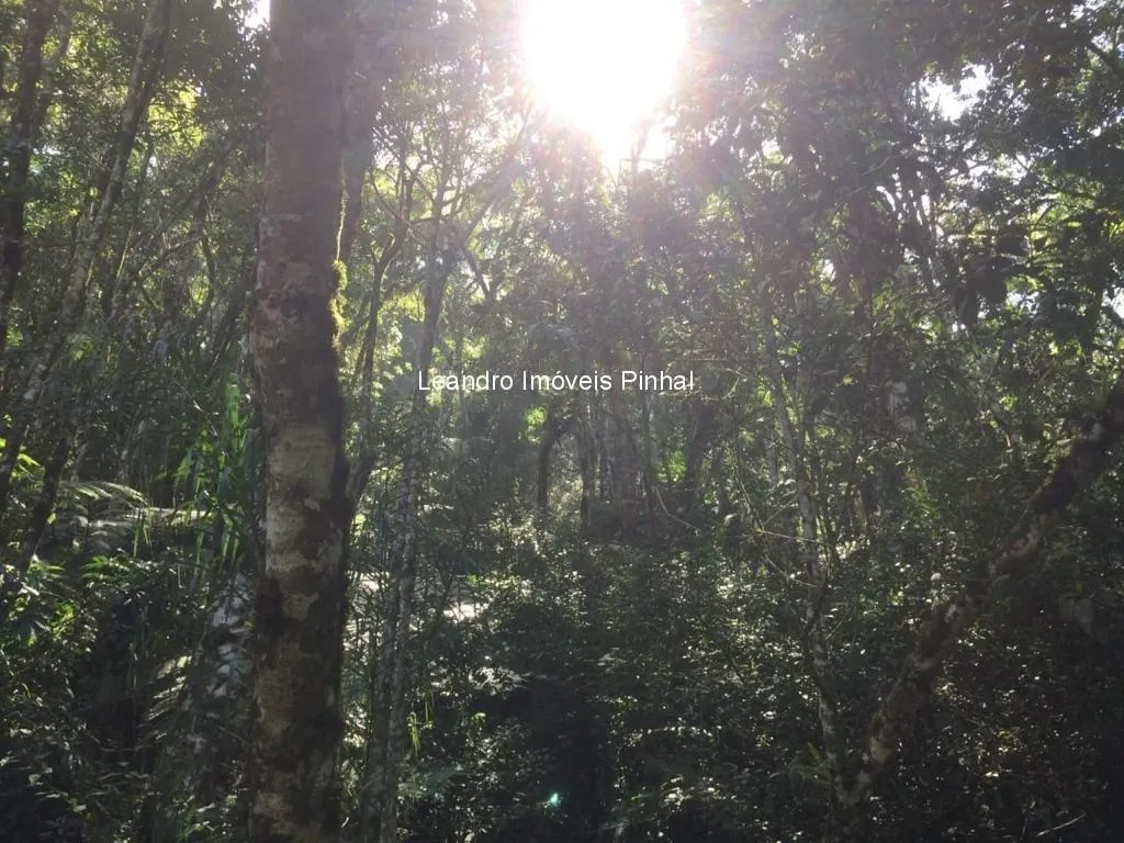Sítio à venda de 5 ha em Santo Antônio do Pinhal, SP, Brasil