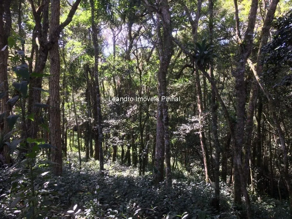 Sítio à venda de 5 ha em Santo Antônio do Pinhal, SP, Brasil