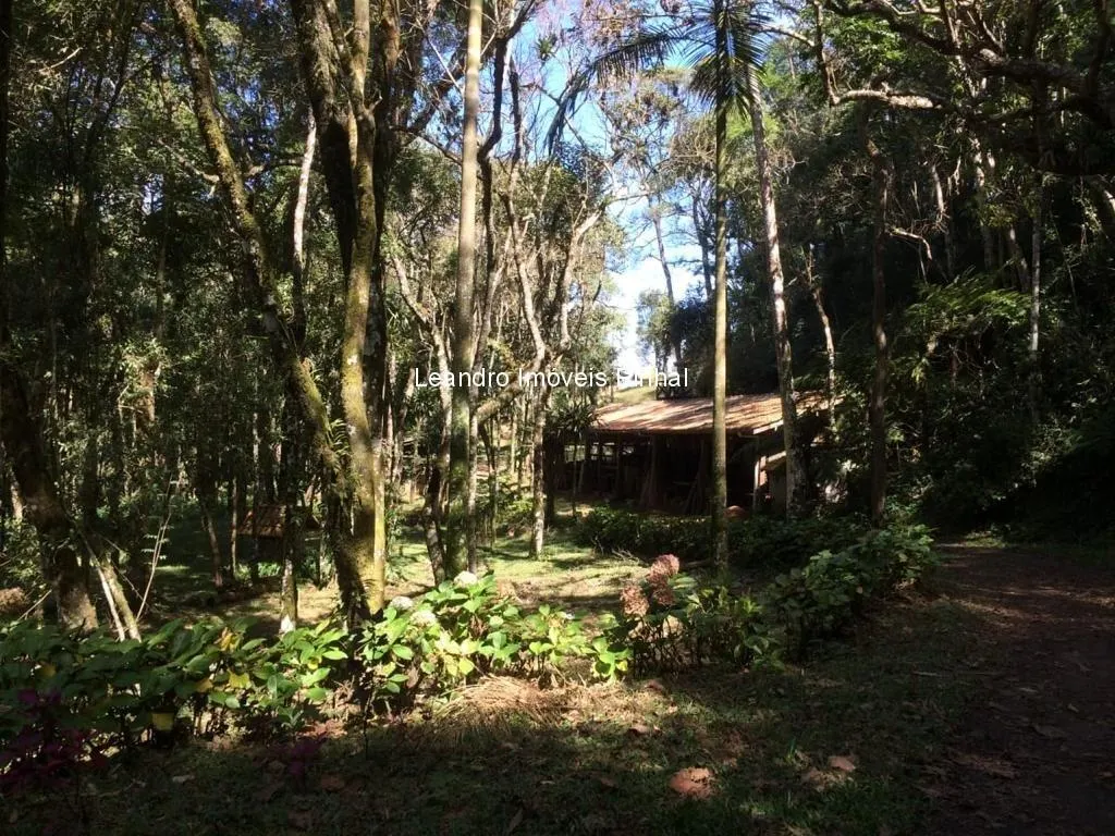 Sítio à venda de 5 ha em Santo Antônio do Pinhal, SP, Brasil
