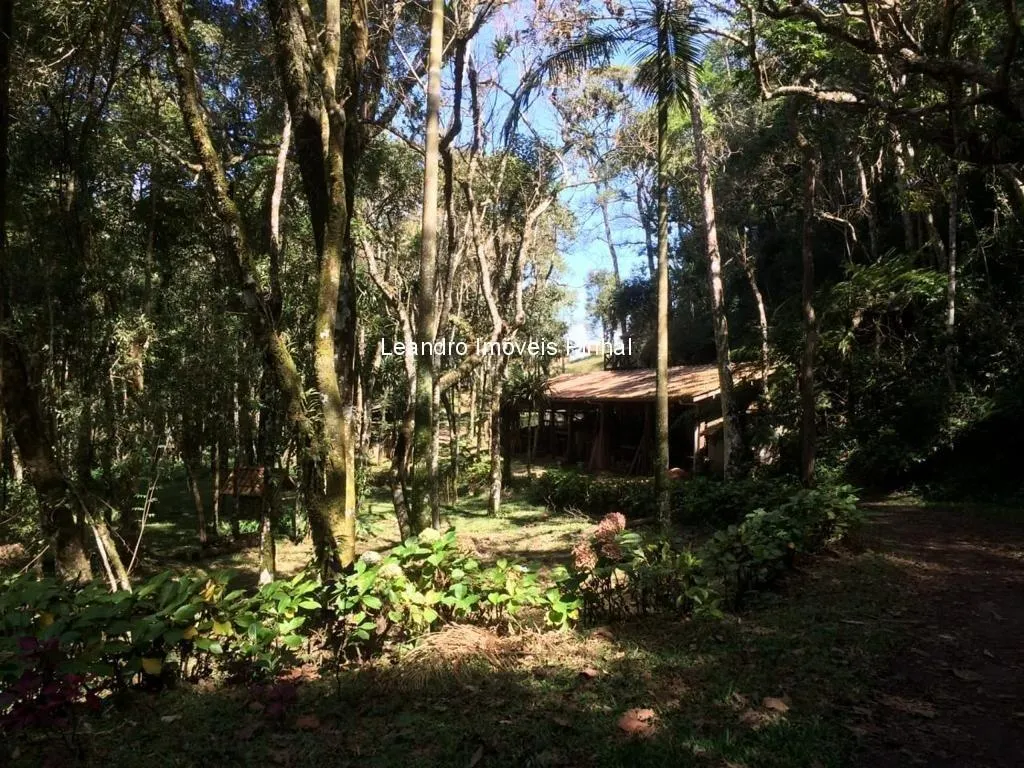 Sítio à venda de 5 ha em Santo Antônio do Pinhal, SP, Brasil