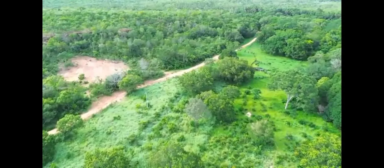 Fazenda à venda de 1.215 ha em Ponte Alta do Tocantins, TO, Brasil