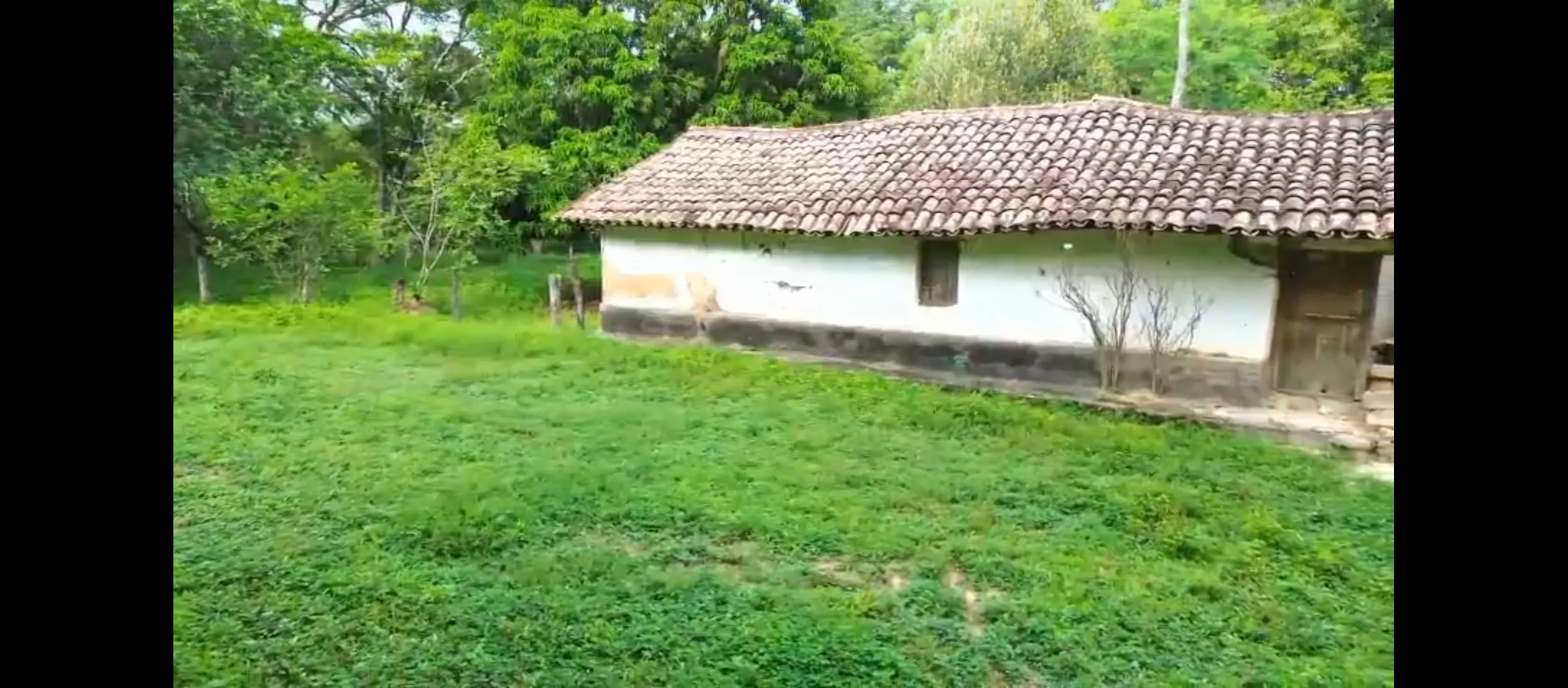 Fazenda à venda de 1.215 ha em Ponte Alta do Tocantins, TO, Brasil