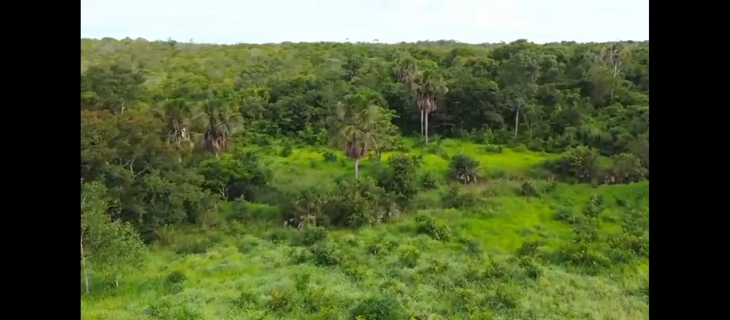 Fazenda à venda de 1.215 ha em Ponte Alta do Tocantins, TO, Brasil