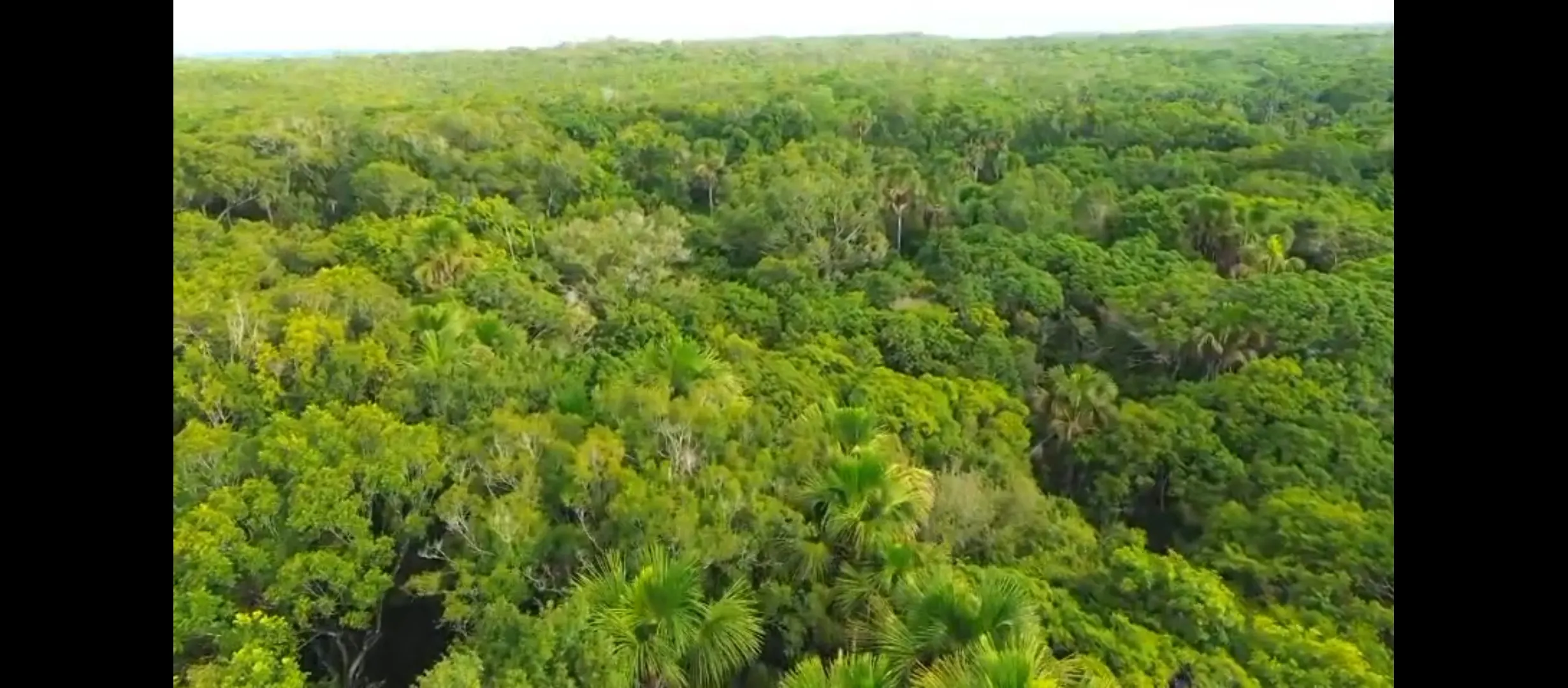 Fazenda à venda de 1.215 ha em Ponte Alta do Tocantins, TO, Brasil