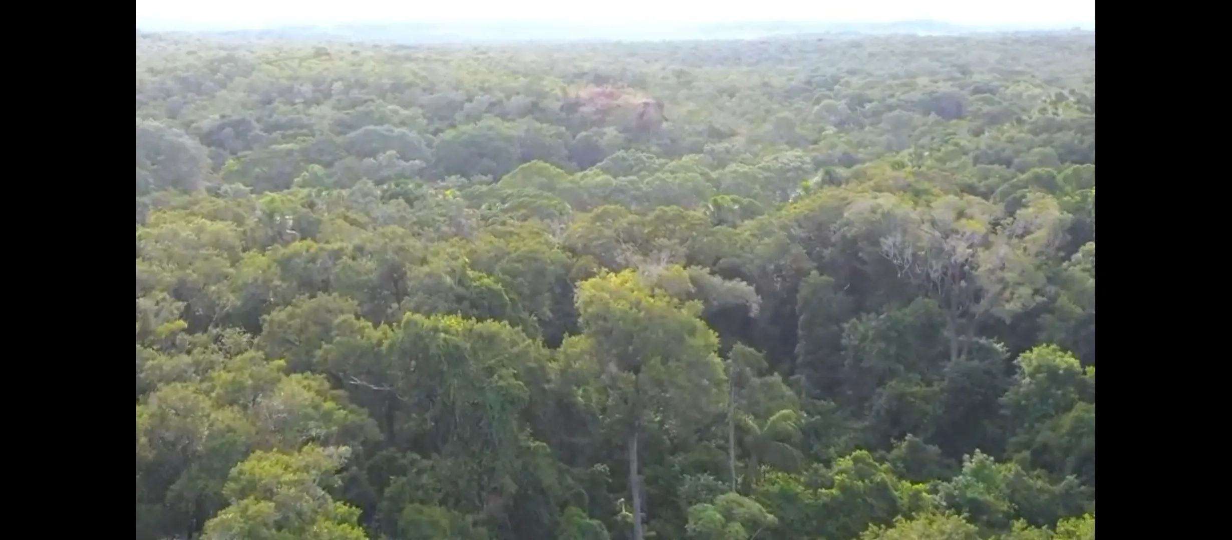 Fazenda à venda de 1.215 ha em Ponte Alta do Tocantins, TO, Brasil