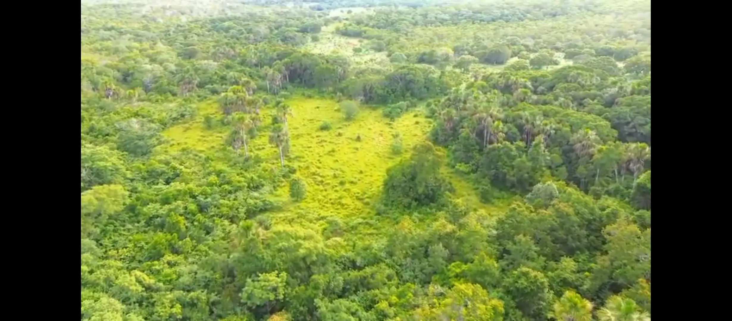 Fazenda à venda de 1.215 ha em Ponte Alta do Tocantins, TO, Brasil
