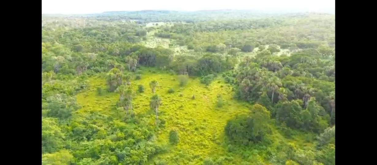 Fazenda à venda de 1.215 ha em Ponte Alta do Tocantins, TO, Brasil