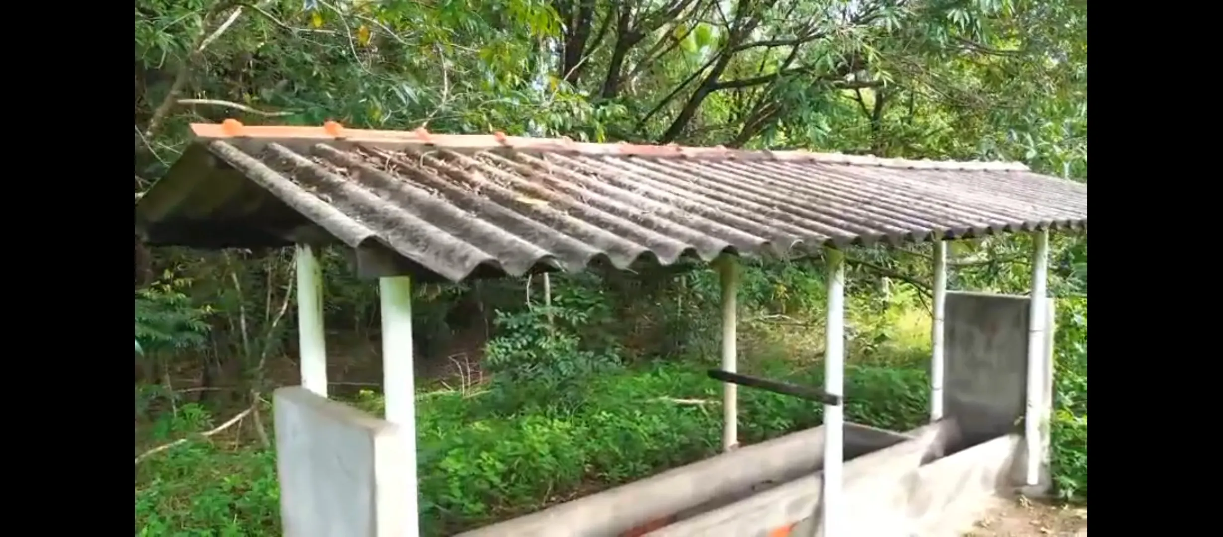Fazenda à venda de 1.215 ha em Ponte Alta do Tocantins, TO, Brasil