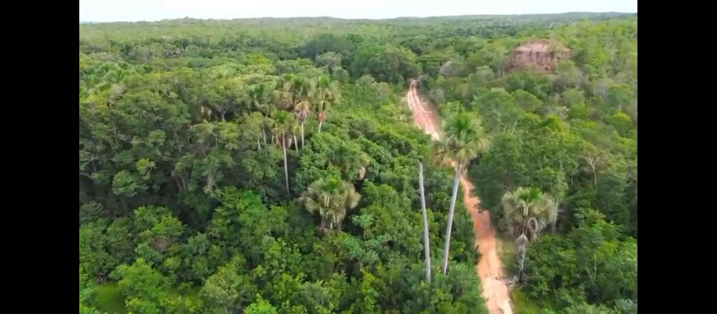 Fazenda à venda de 1.215 ha em Ponte Alta do Tocantins, TO, Brasil