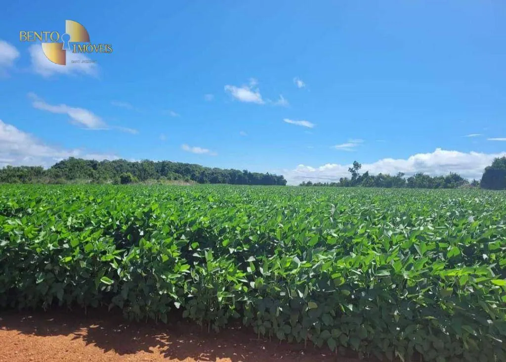 Fazenda à venda de 1.144 ha em Diamantino, MT, Brasil