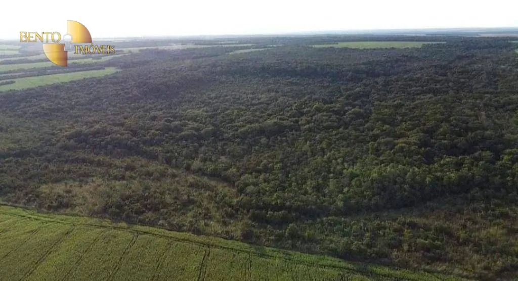 Fazenda à venda de 1.144 ha em Diamantino, MT, Brasil