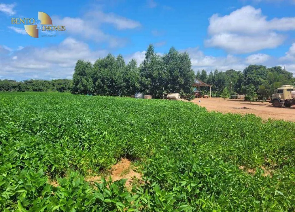 Fazenda à venda de 1.144 ha em Diamantino, MT, Brasil