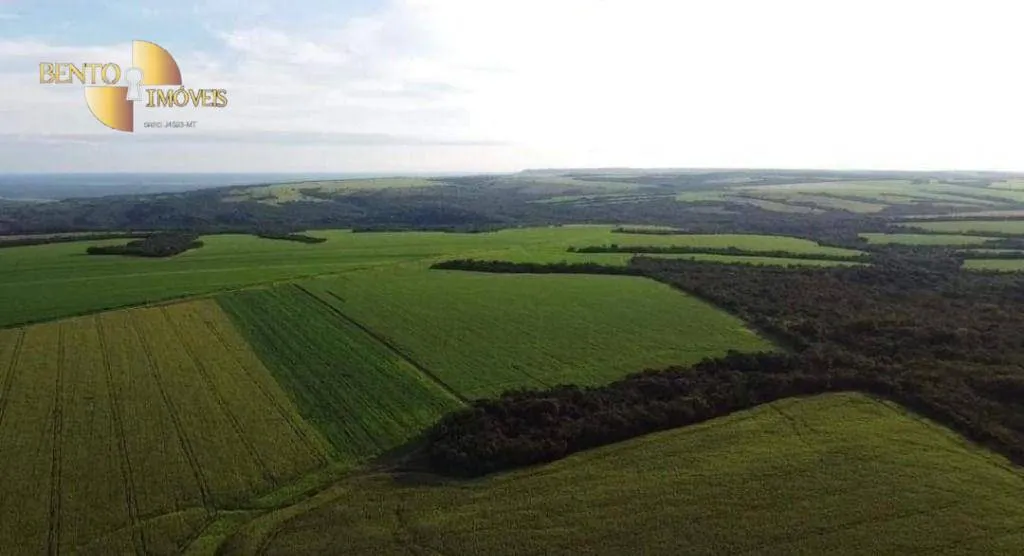 Fazenda à venda de 1.144 ha em Diamantino, MT, Brasil