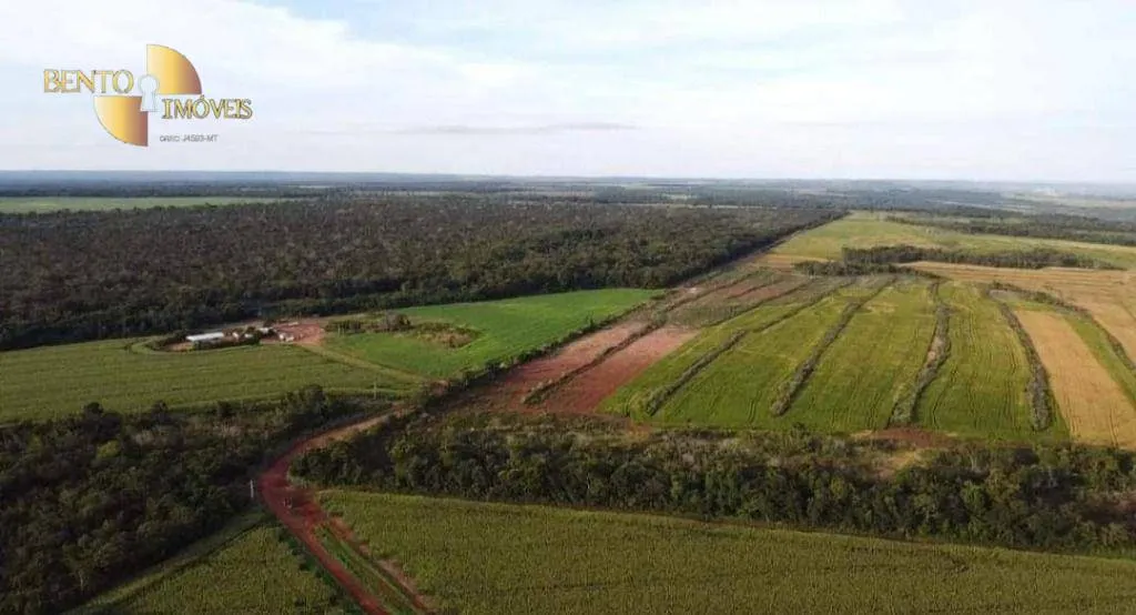 Fazenda à venda de 1.144 ha em Diamantino, MT, Brasil