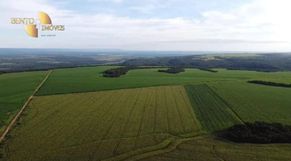 Fazenda à venda de 1.144 ha em Diamantino, MT, Brasil