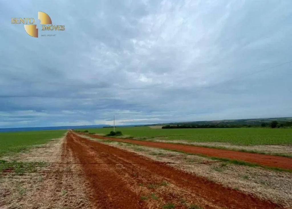 Fazenda à venda de 1.144 ha em Diamantino, MT, Brasil