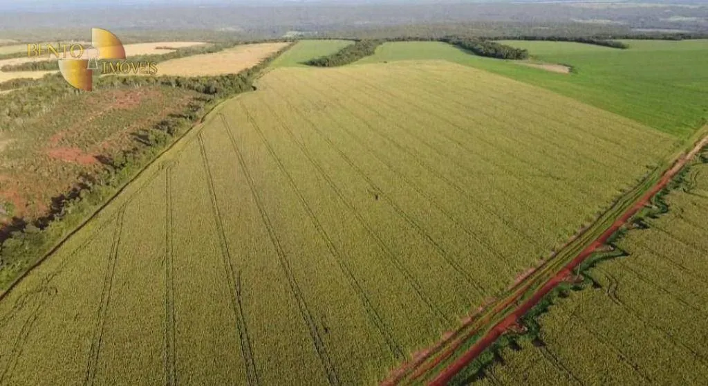 Fazenda à venda de 1.144 ha em Diamantino, MT, Brasil
