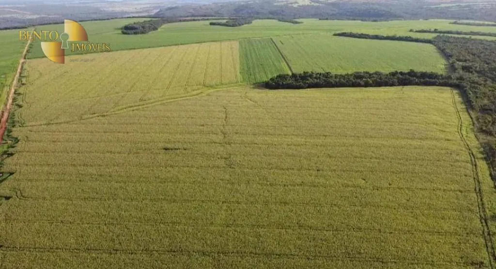Fazenda à venda de 1.144 ha em Diamantino, MT, Brasil