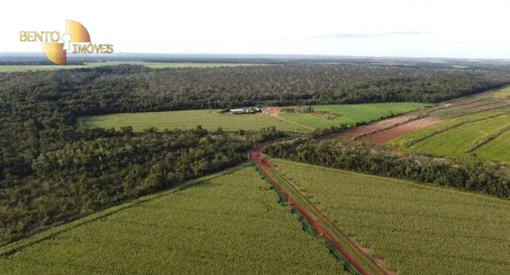 Fazenda à venda de 1.144 ha em Diamantino, MT, Brasil