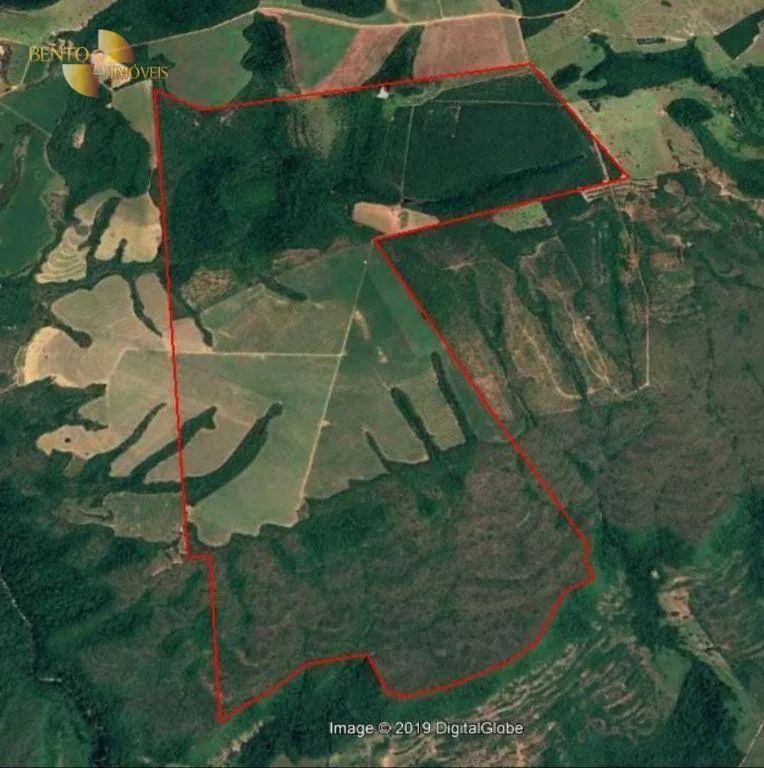 Fazenda à venda de 1.144 ha em Diamantino, MT, Brasil