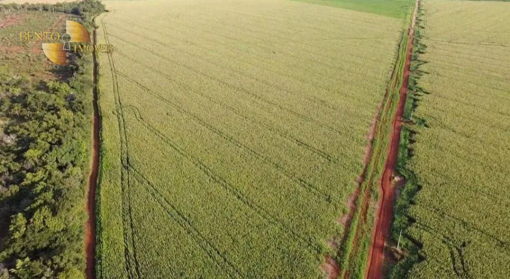 Fazenda à venda de 1.144 ha em Diamantino, MT, Brasil